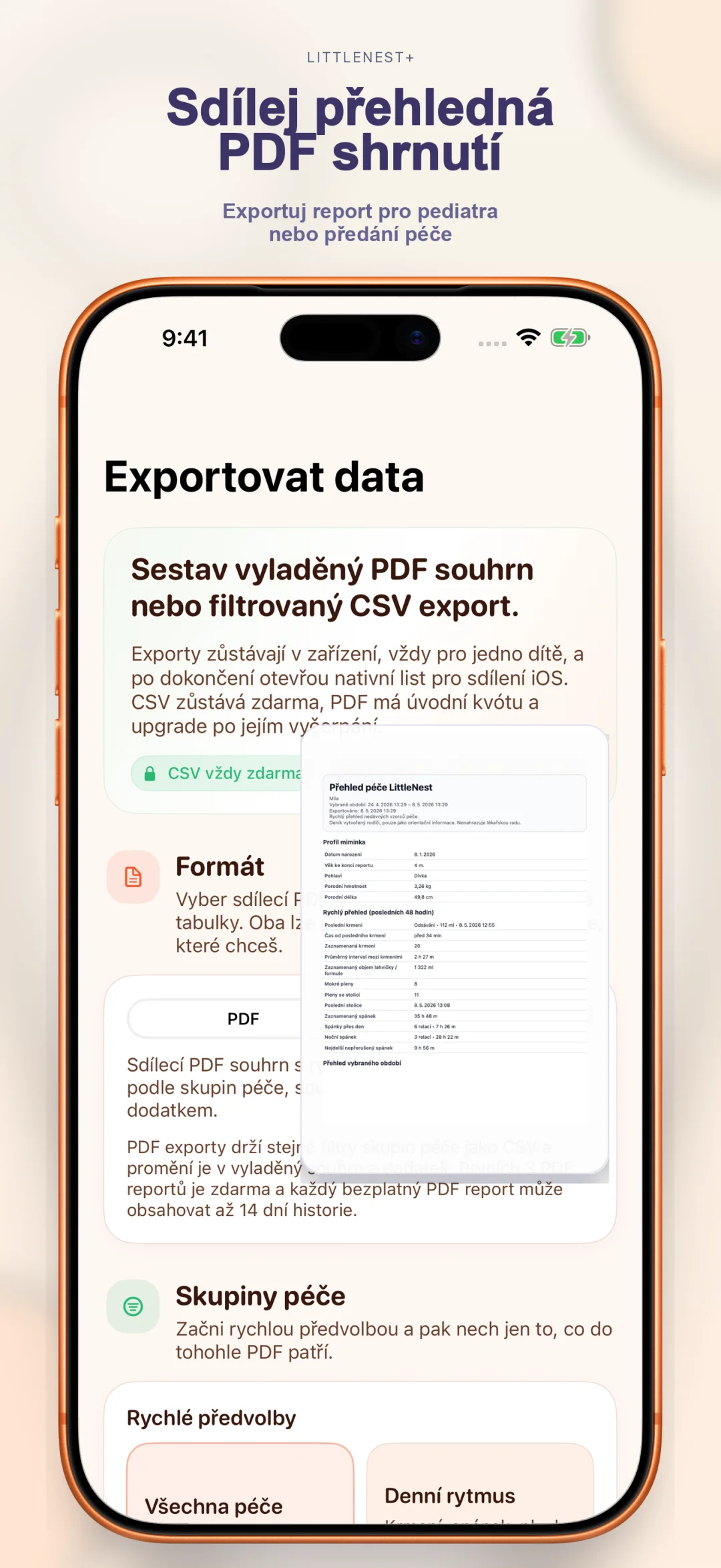 Přehledný PDF export