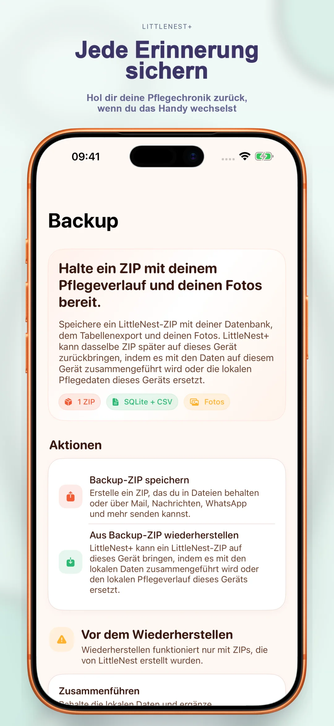 Cloud-Backup der Pflegehistorie