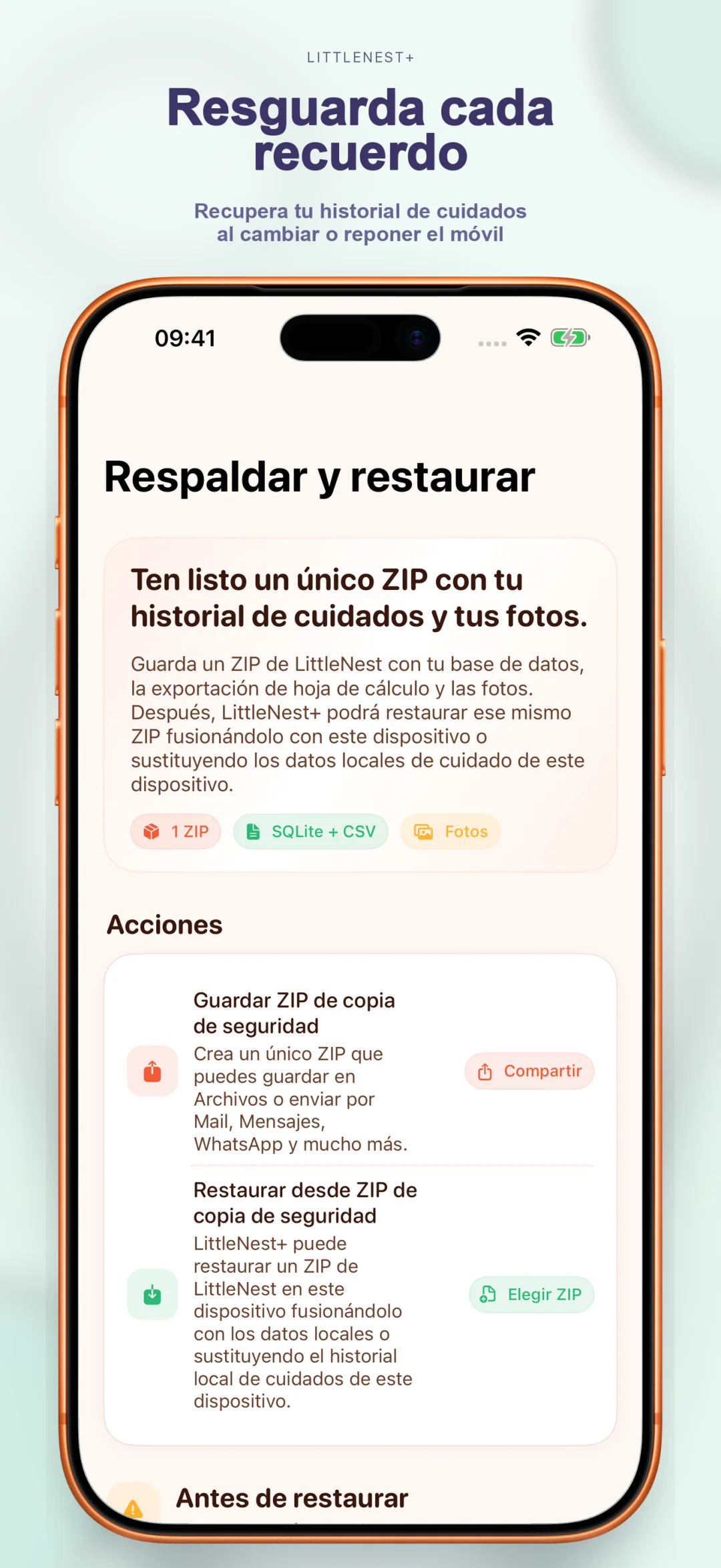 Copia de seguridad en la nube del historial de cuidado
