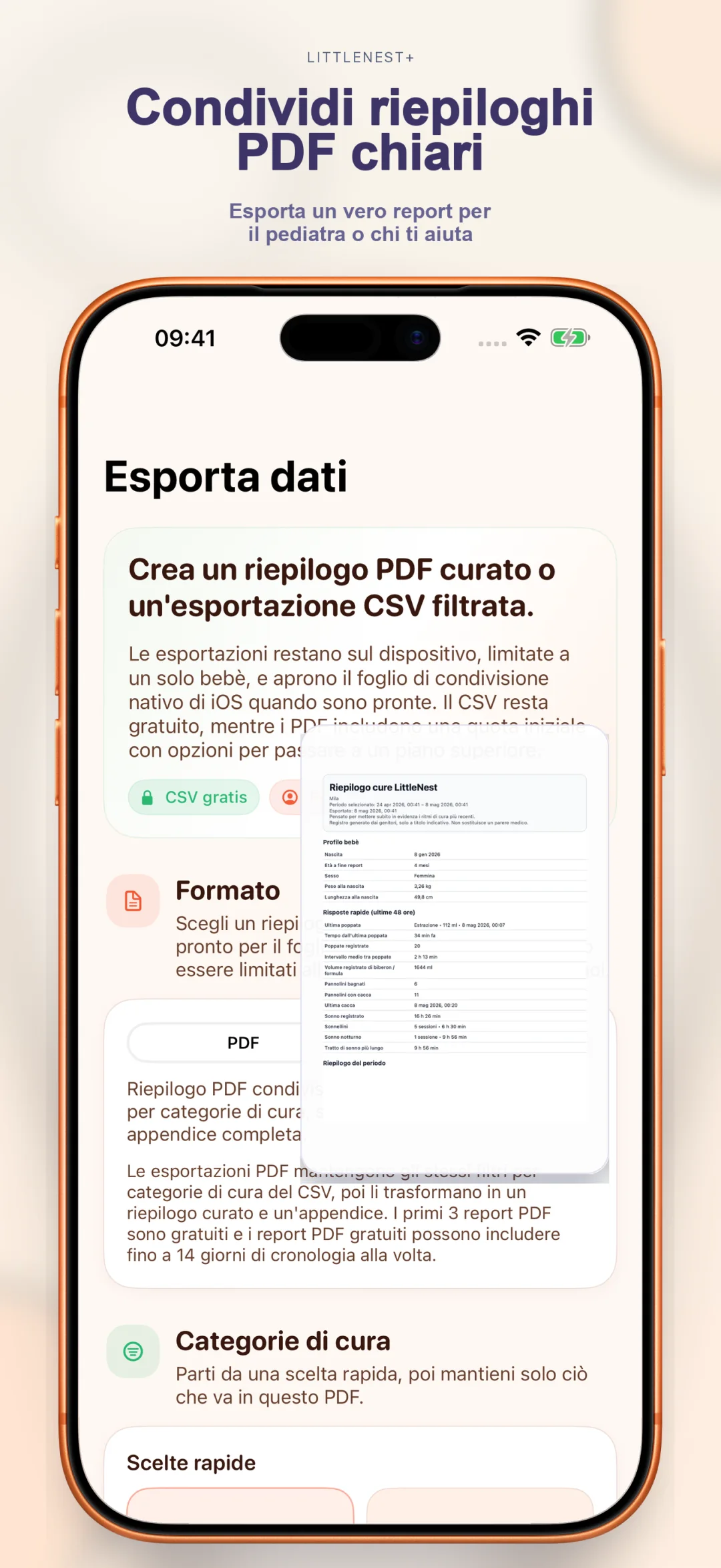 Export riepilogo PDF pulito