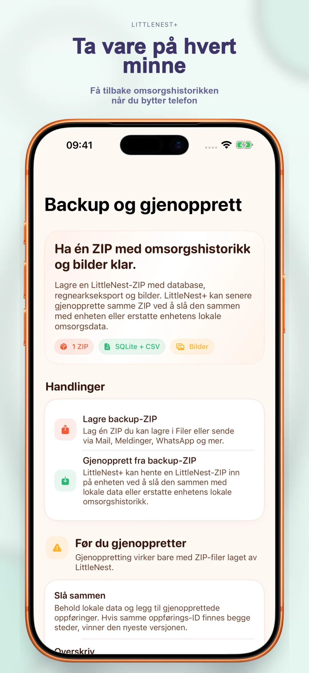 Skybasert sikkerhetskopi av pleiehistorikk