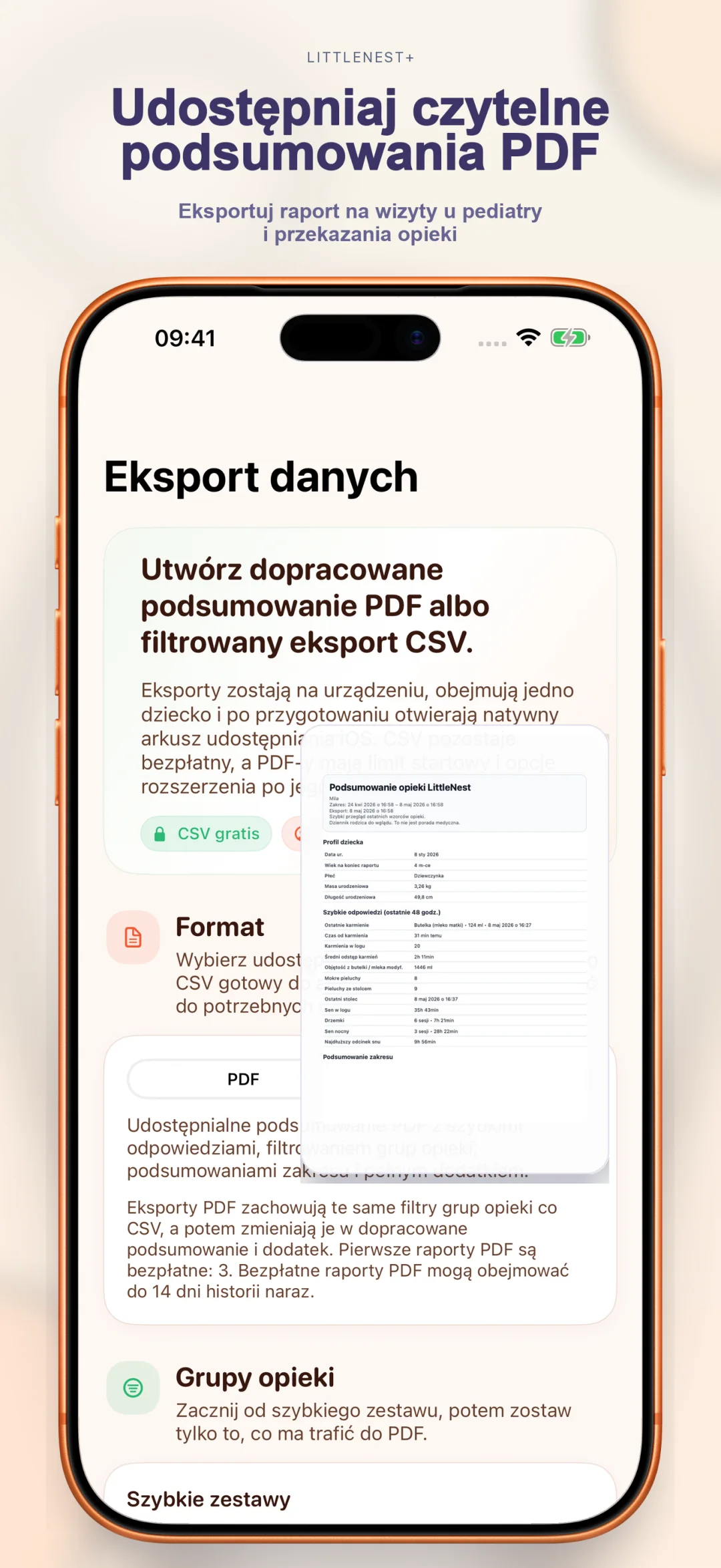 Czysty eksport PDF