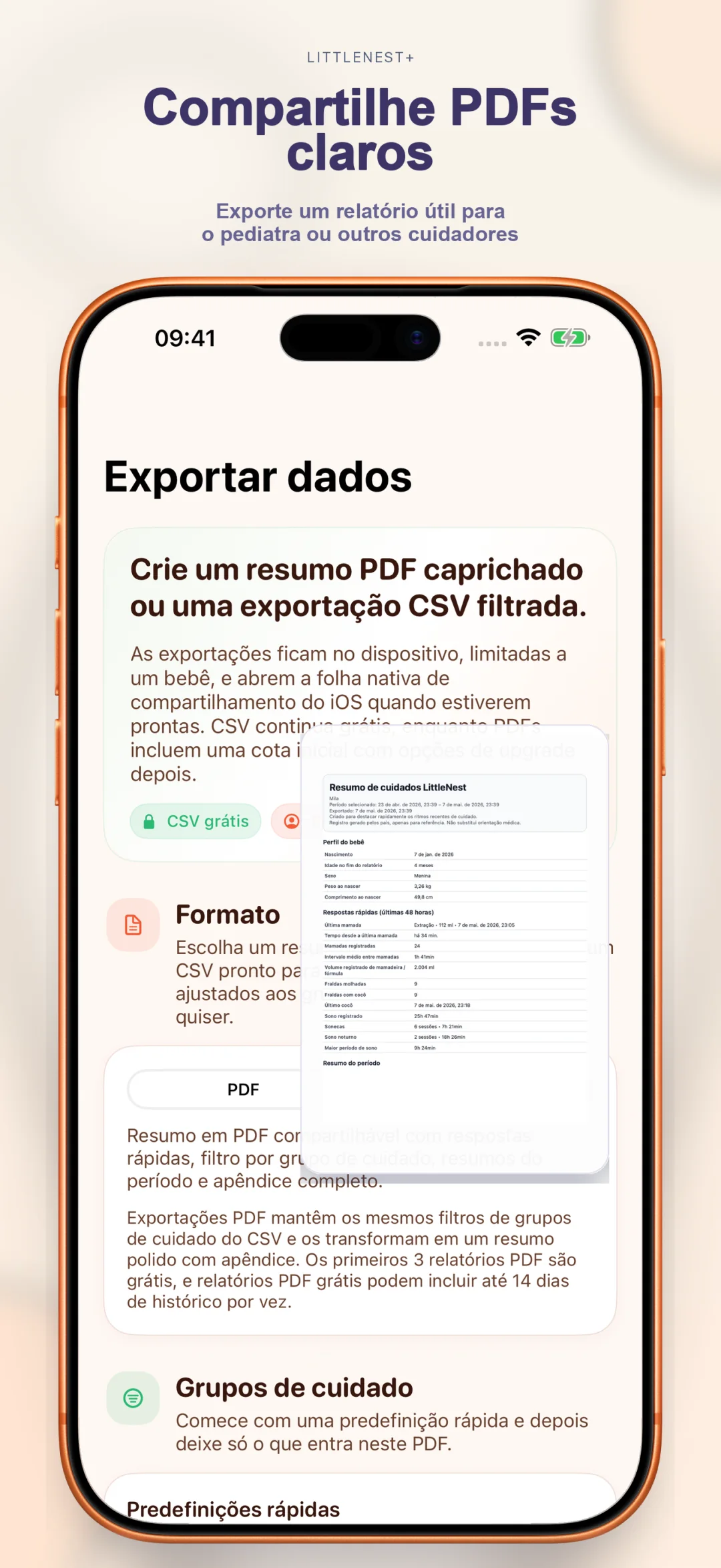 Exportação de resumo em PDF limpo