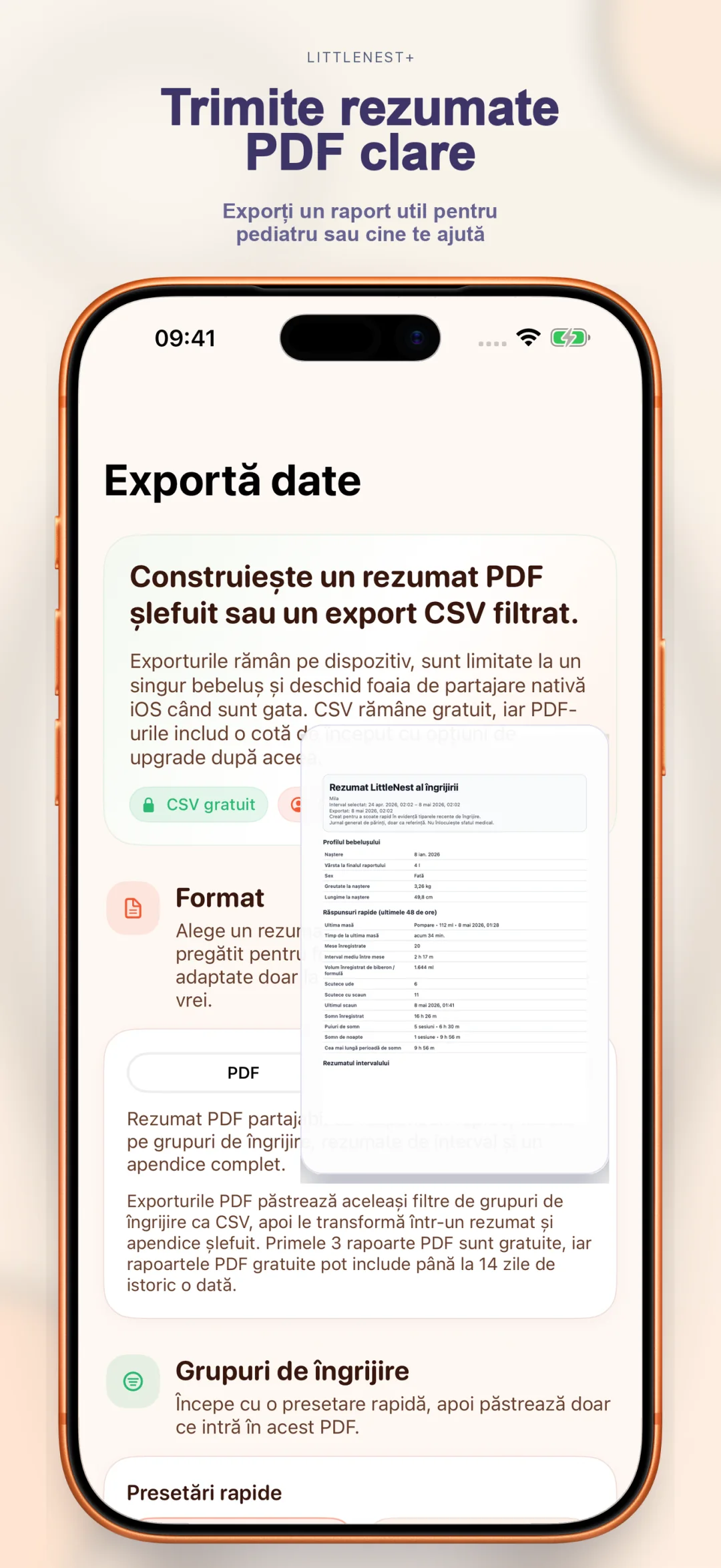 Export rezumat PDF curat