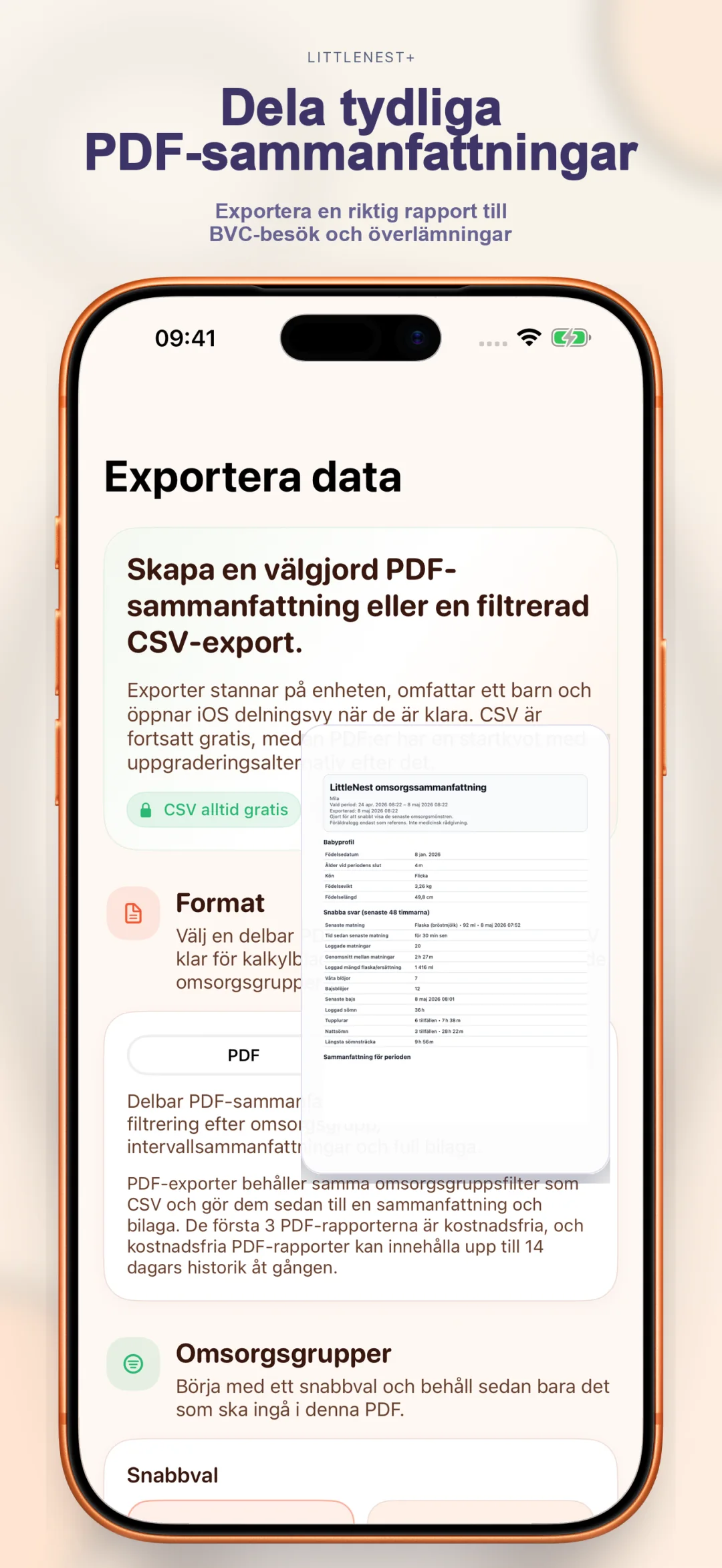 Ren PDF-sammanfattningsexport