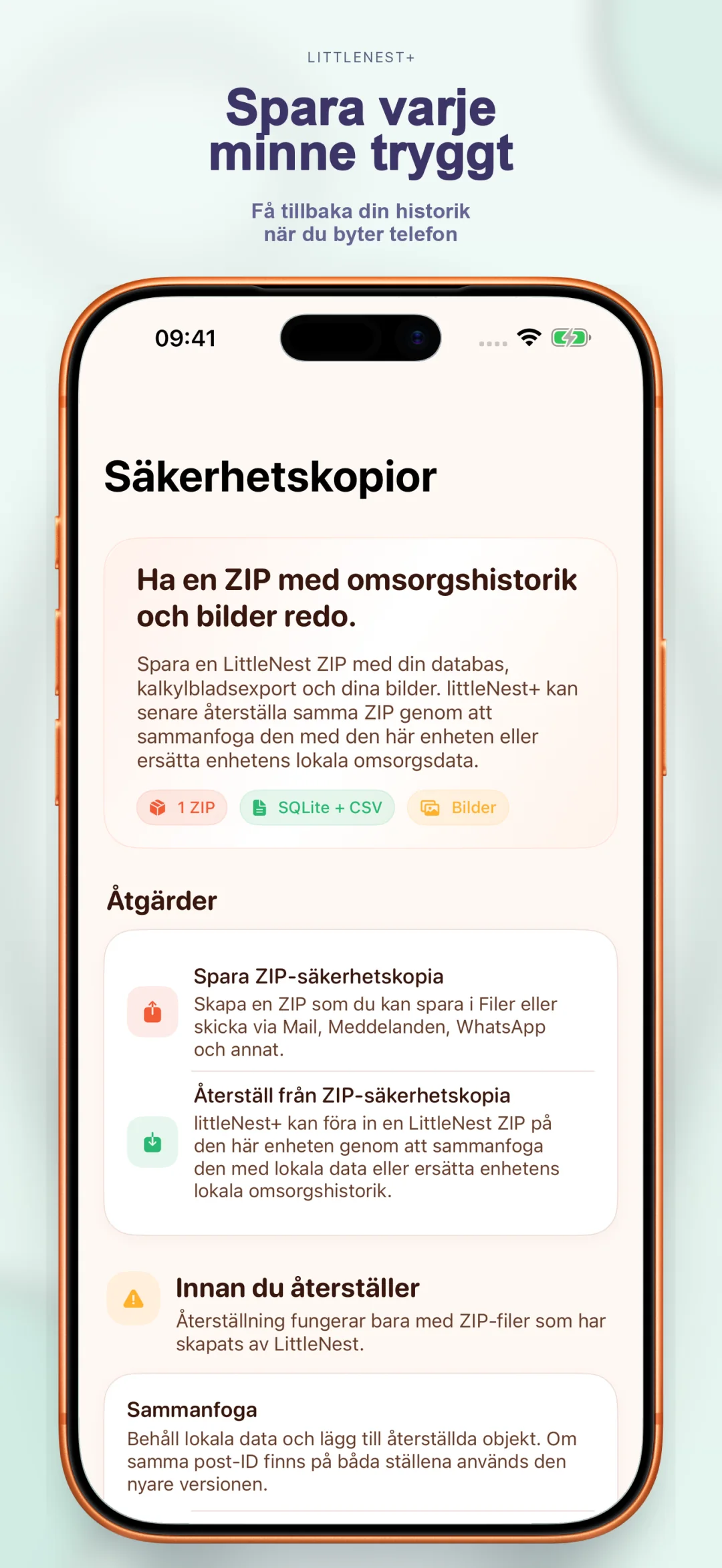 Molnsäkerhetskopiering av vårdhistorik
