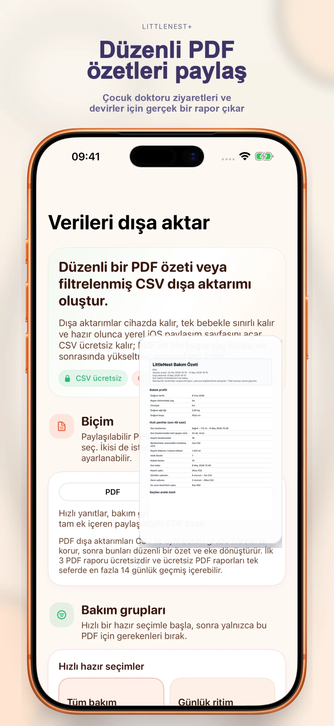 Temiz PDF özet dışa aktarımı